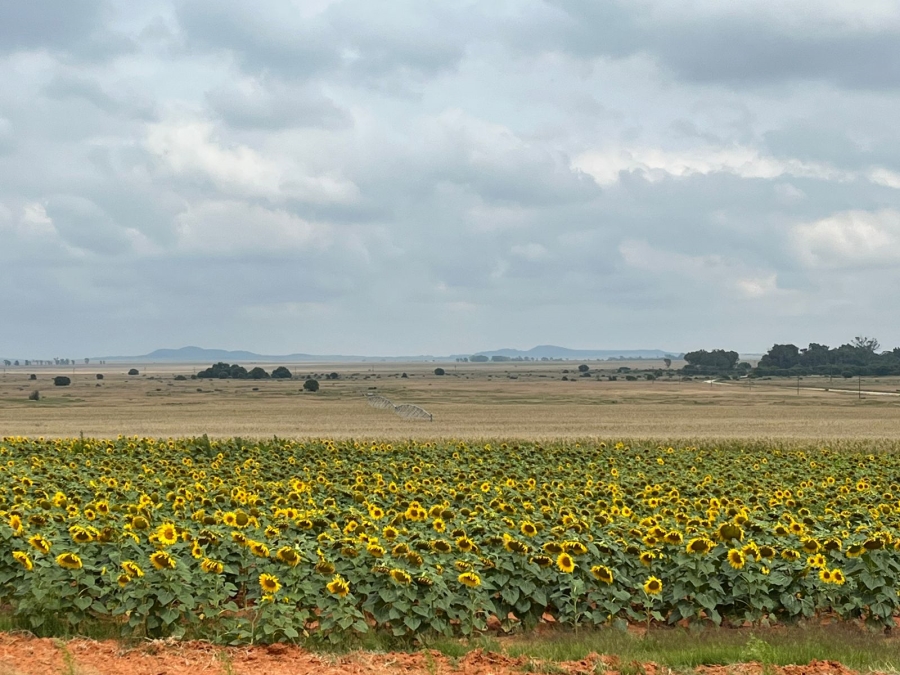 8 Bedroom Property for Sale in Bloemfontein Rural Free State